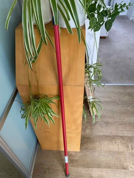 Photo of free Mop handle (York YO23) #1