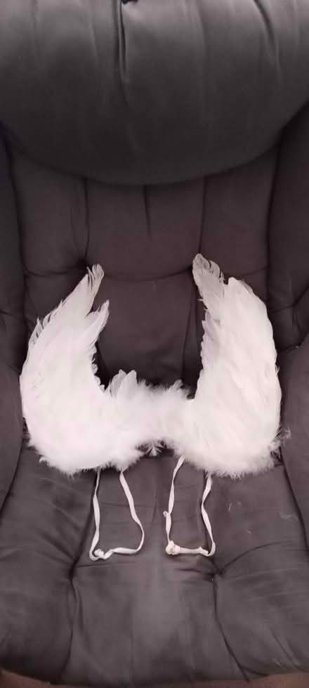 Photo of free Angel Wings - child size (Queensferry CH5) #2