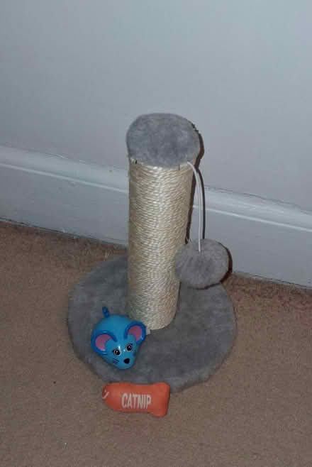 Photo of free Kitten items (LE2) #1