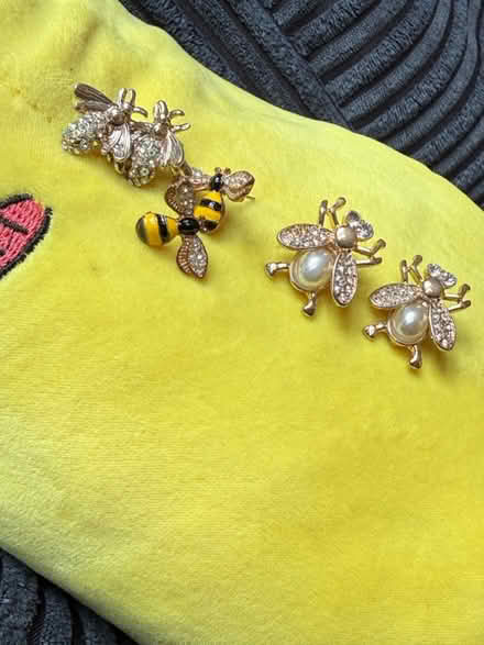 Photo of free Bugs earring 3x pairs (USED) (Levenshulme M19) #1