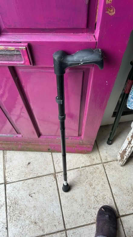 Photo of free Walking Stick with Seat (WA10) #1