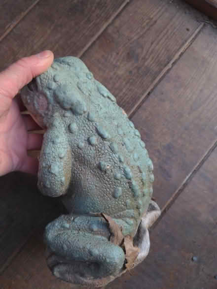 Photo of free Frog fountain ornament (Syon Lane TW7) #2