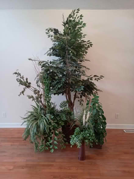 Photo of free Ficus tree and other arrangements (Hixson, TN) #2