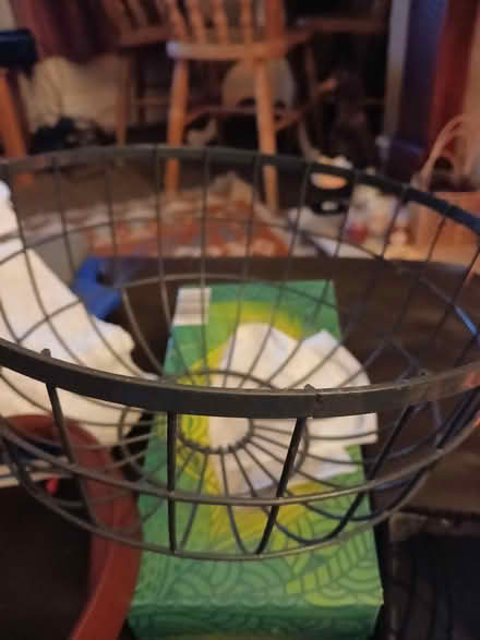 Photo of free Fruit basket (Kirkstall LS5) #1