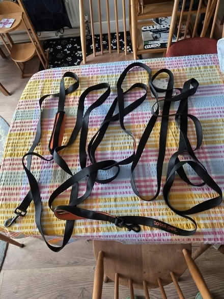 Photo of free Dog training lead (Melksham SN12) #2