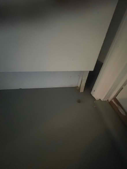 Photo of free Tall storage cabinet (Annandale, Wakefield area) #2