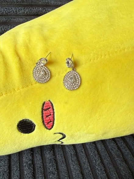 Photo of free Silver earring pair (USED) (Levenshulme M19) #1