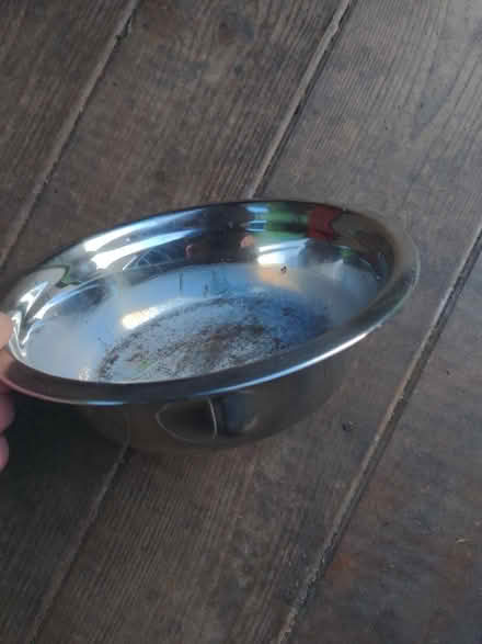 Photo of free Medium sized dog bowl (Syon Lane TW7) #1