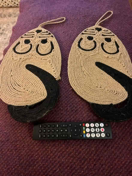 Photo of free Cat scratching mats (hanging) (West Bridgford NG2) #1