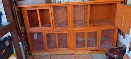 Photo of free 6" Bluebell rabbit hutch (Riverfield drive MK41) #2
