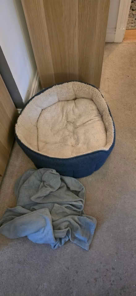 Photo of free Dog bed and blanket (SW17 9HE) #1