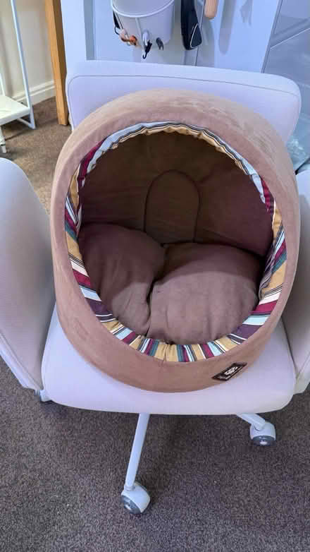 Photo of free Cat bed (WA10) #1