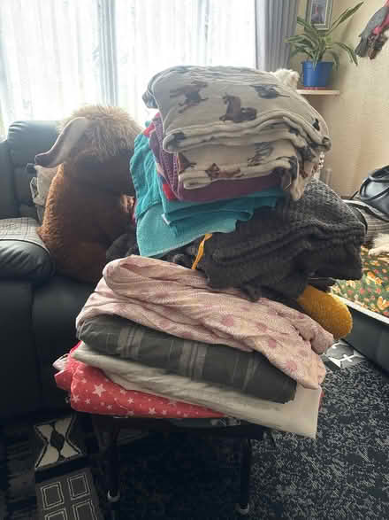 Photo of free nearly new and new (B62 8LG) #2