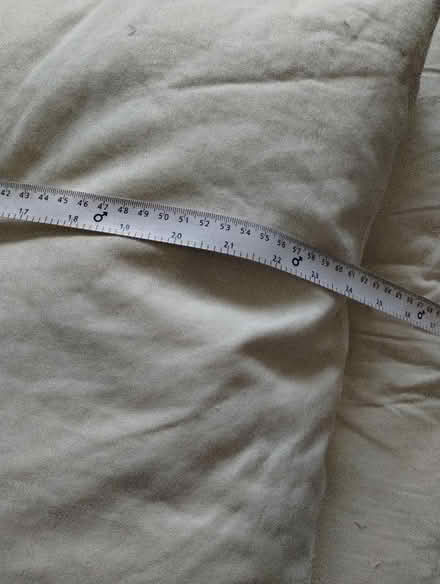 Photo of free Feather cushions (Irby CH61) #1