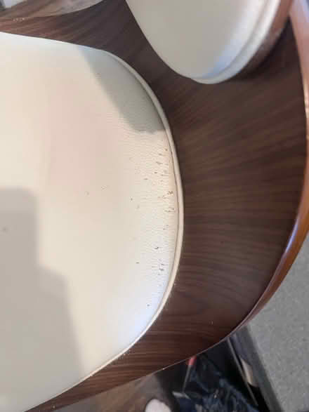 Photo of free MCM style desk chair (Bronxville/Yonkers) #3