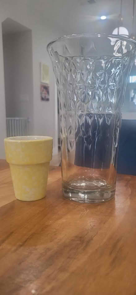 Photo of free Plant pot and flower vase (Petworth) #1
