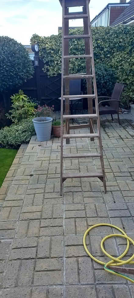 Photo of free Step ladder (Pitsea) #2