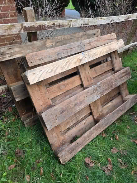 Photo of free 3 x massive heavy wooden pallets (Billingham TS23) #1