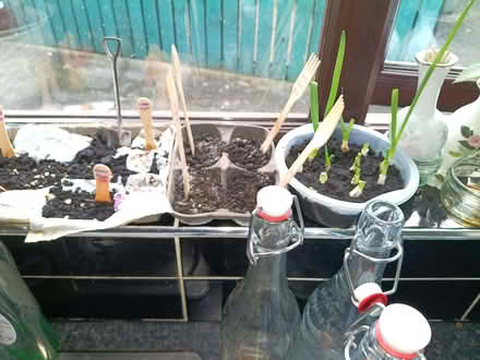 Photo of Garden 🪏 tools (BT10) #2