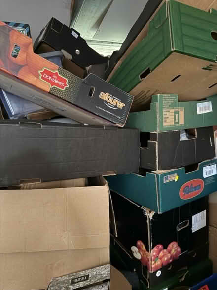 Photo of free Loads of Cardboard storage Crates (Loddon) #1