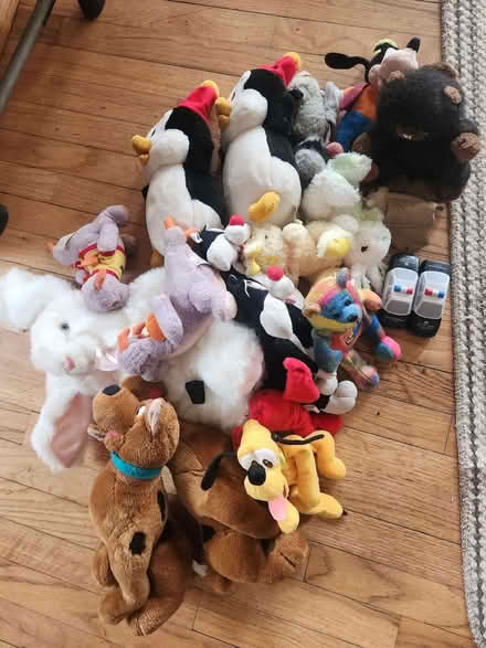 Photo of free Stuffed toys, some disney (virgil) #1