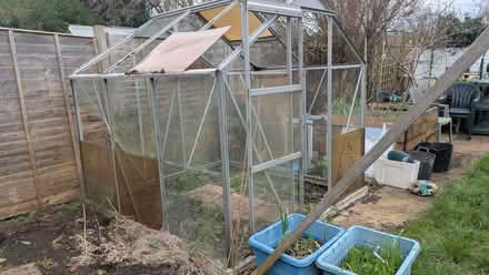 Photo of free Green house (New Marston OX3) #2