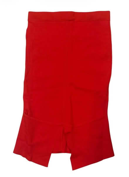 Photo of free Eva Mendes Woman’s Skirt (Brooklyn Storage) #2