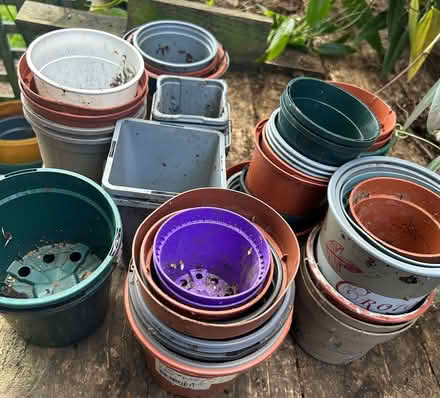 Photo of free Quantity of assorted flower pots (SY2) #1