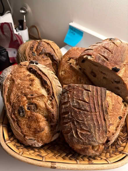 Photo of free Homemade Sourdough Olive Bread (94707) #1