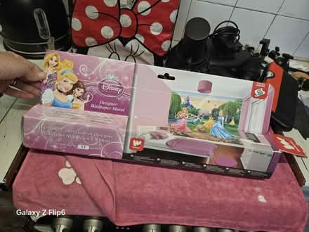 Photo of free Wall paper disney princesses mural (Erith DA8) #3