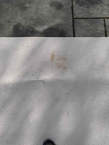 Photo of free Rug in cream (Postcombe OX9) #2