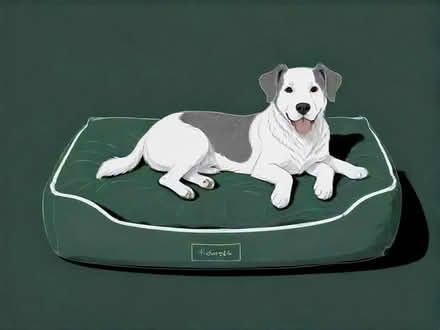 Photo of Large dog bed (Illogan Highway TR15) #1