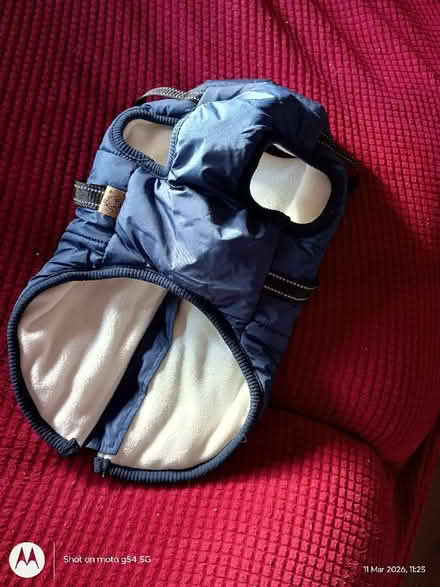 Photo of free brand new dog jacket (Drylaw EH4) #2