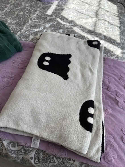 Photo of free Halloween reversible blanket (Highlands village N21) #1