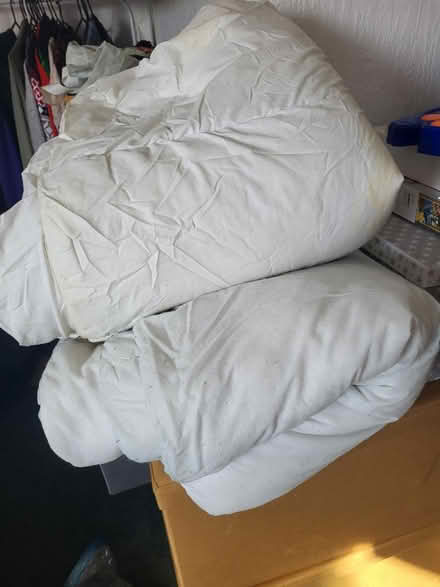 Photo of free Duvets (Pr23uq Pr2 3uq) #1