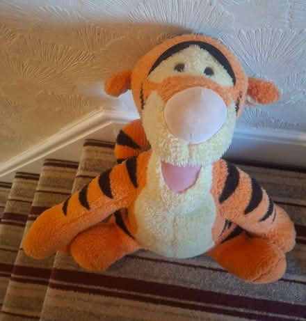 Photo of free Adorable Tiger soft toy (Rugby CV21) #1