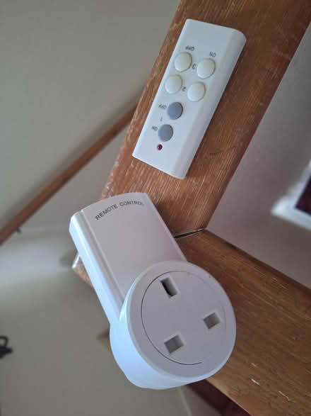Photo of free Remote control plug socket (Forestgreen) #1