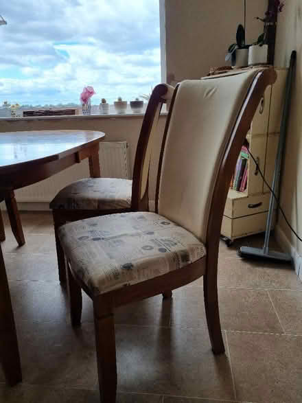 Photo of free 6 x dining chairs (Kingsway) #2