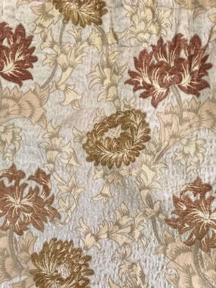 Photo of free Sanderson curtains (Lisvane CF14) #3