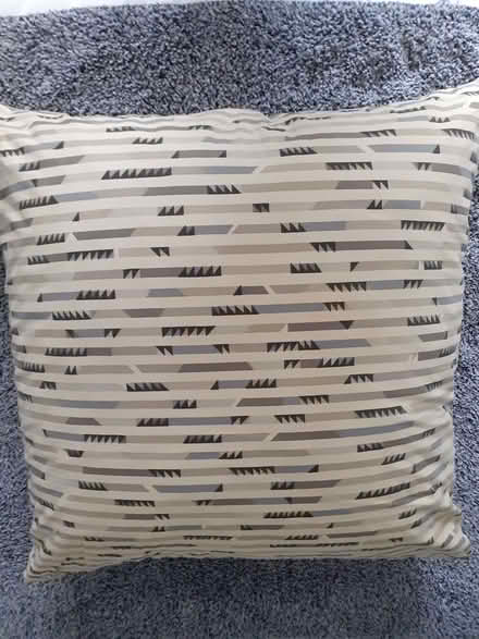 Photo of free Large Floor Cushion #1 (ME10) #2
