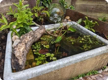 Photo of Old sink to make into a small pond (Bewdley DY12) #1