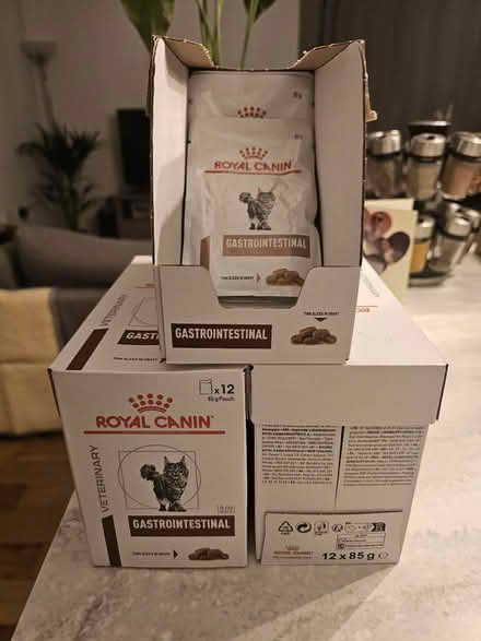 Photo of free Gastrointestinal cat food (Oval Quarter SW9) #1