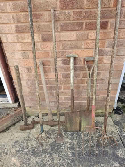 Photo of free Assorted garden equipment / tools (Northfield B31) #2