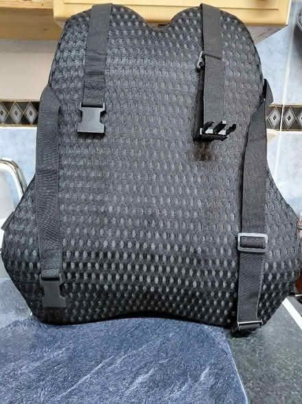 Photo of free Back lumbar support (Rowner PO13) #1