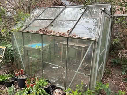 Photo of free Old greenhouse with a missing pane L17 (Aigburth L17) #1