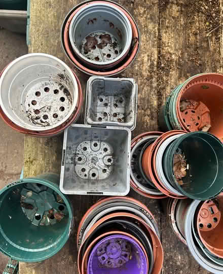 Photo of free Quantity of assorted flower pots (SY2) #2