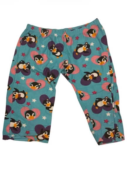 Photo of free Woman’s Penguin Shorts (Brooklyn Storage) #1