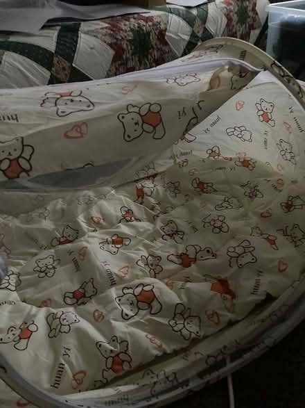 Photo of free Portable fold away crib (Prenton CH43) #4