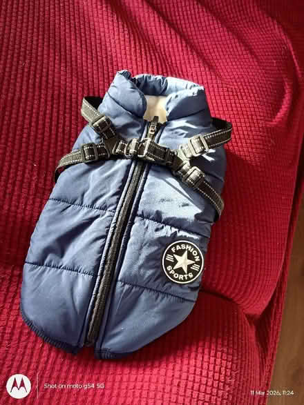 Photo of free brand new dog jacket (Drylaw EH4) #1