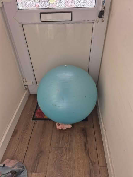 Photo of free Balance/Exercise ball (Horsham Town area) #1